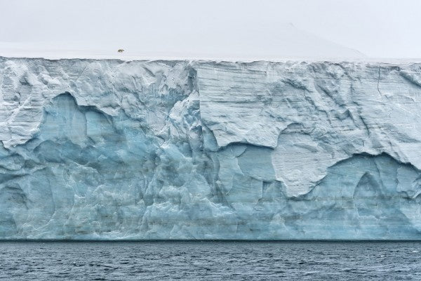 PHOTOWALL / Lonely Polarbear on Glacier (e41212)