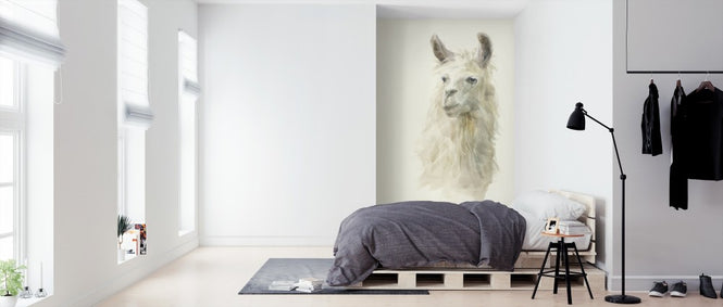 PHOTOWALL / Classic Llamas II (e311987)