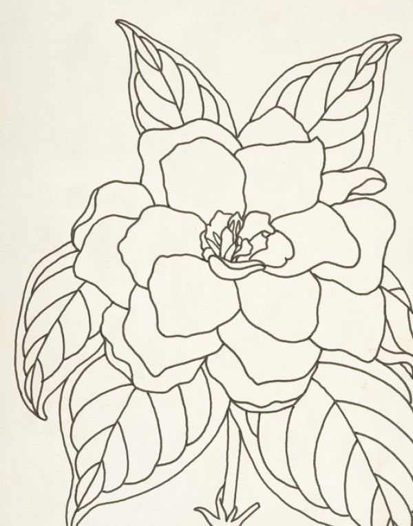 PHOTOWALL / Gardenia Line Drawing I (e312264)