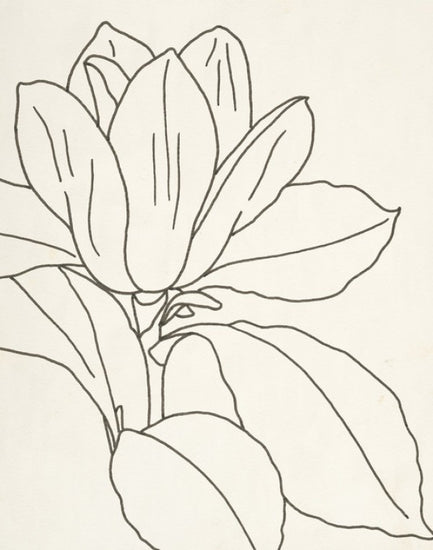 PHOTOWALL / Magnolia Line Drawing II (e312265)