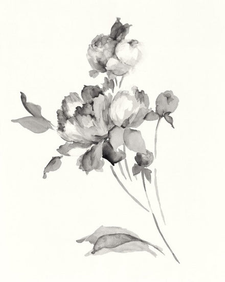 PHOTOWALL / Peony Blossoms Gray (e312279)