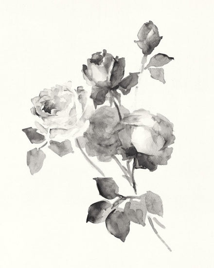PHOTOWALL / Rose Blossoms Gray (e312280)