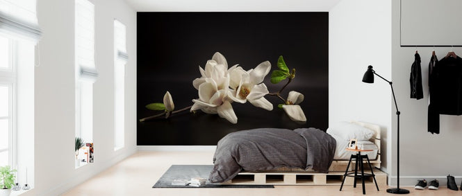 PHOTOWALL / Magnolia (e312829)