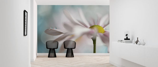 PHOTOWALL / Tiny Duo (e312833)