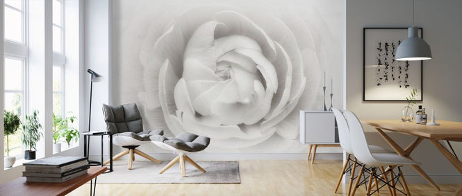 PHOTOWALL / Ranunculus (e312864)