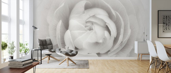PHOTOWALL / Ranunculus (e312864)