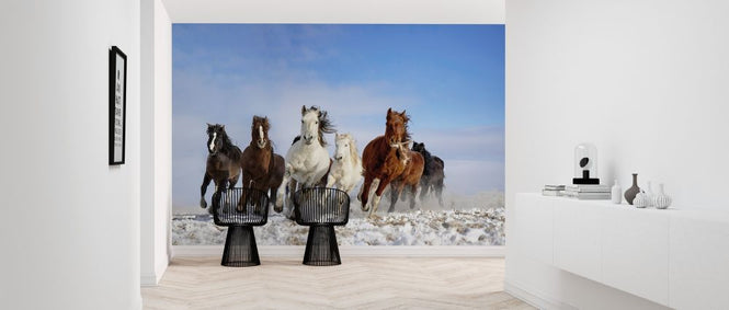 PHOTOWALL / Mongolia Horses (e312871)