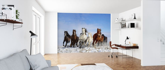 PHOTOWALL / Mongolia Horses (e312871)