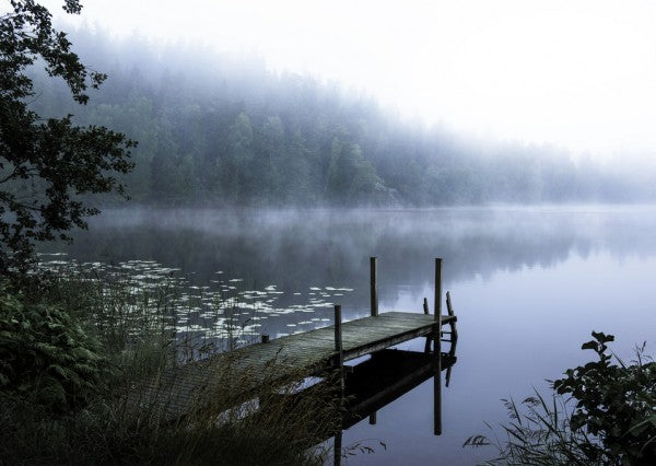 PHOTOWALL / Moody Morning (e312876)