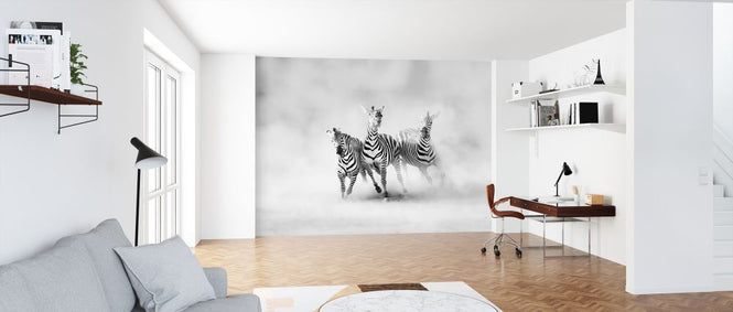 PHOTOWALL / Zebras (e312914)