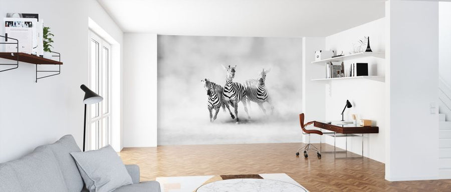 PHOTOWALL / Zebras (e312914)