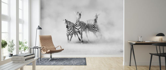 PHOTOWALL / Zebras (e312914)