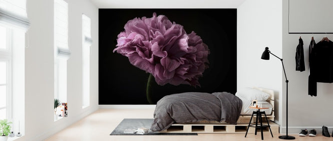 PHOTOWALL / Poppy (e312918)