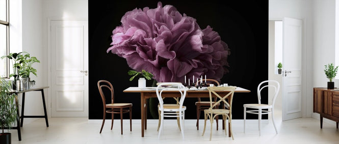 PHOTOWALL / Poppy (e312918)