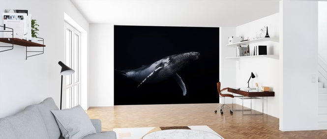 PHOTOWALL / Black and Whale (e312923)