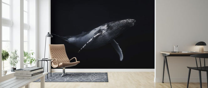 PHOTOWALL / Black and Whale (e312923)