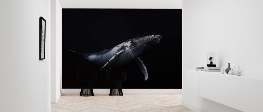 PHOTOWALL / Black and Whale (e312923)