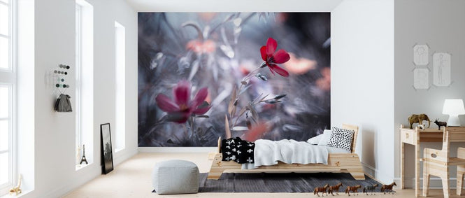 PHOTOWALL / Une Fleur Une Histoire (e312933)