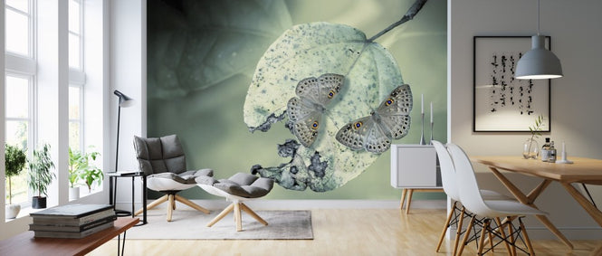 PHOTOWALL / Duet (e312937)