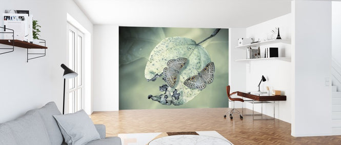 PHOTOWALL / Duet (e312937)