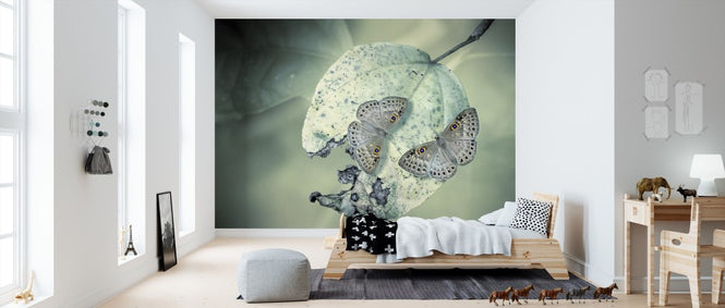 PHOTOWALL / Duet (e312937)