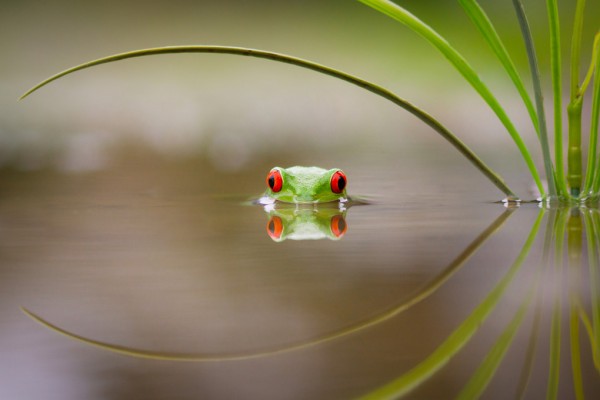 PHOTOWALL / Beauty of Reflection (e312938)