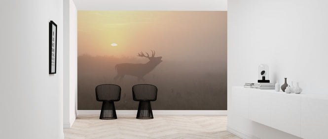 PHOTOWALL / Misty Morning Stag (e312939)
