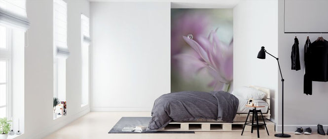 PHOTOWALL / In Pink Delight (e312942)