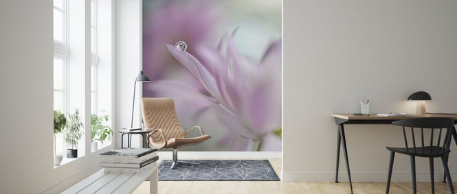 PHOTOWALL / In Pink Delight (e312942)