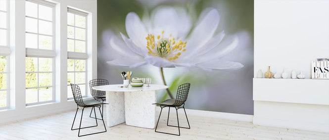 PHOTOWALL / Nemorosa Nirvana (e312945)