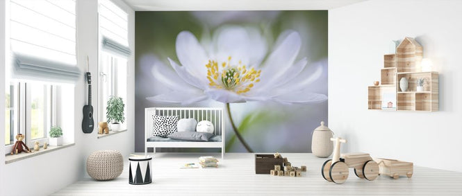 PHOTOWALL / Nemorosa Nirvana (e312945)