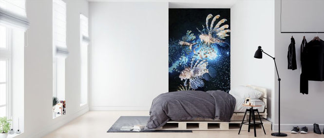 PHOTOWALL / Star Hunt (e312948)