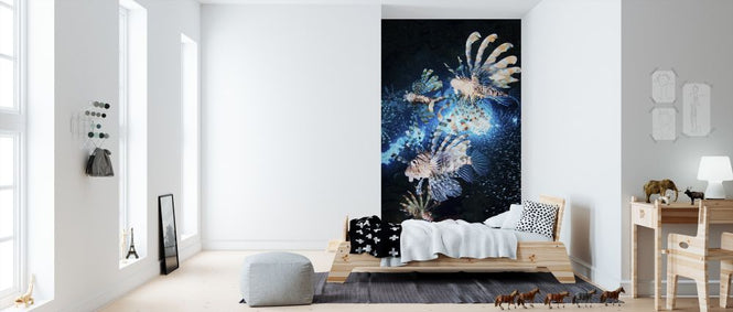 PHOTOWALL / Star Hunt (e312948)