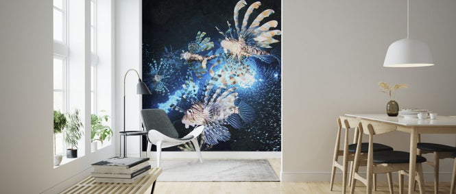PHOTOWALL / Star Hunt (e312948)