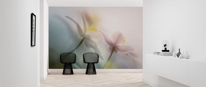 PHOTOWALL / Gentle (e312952)