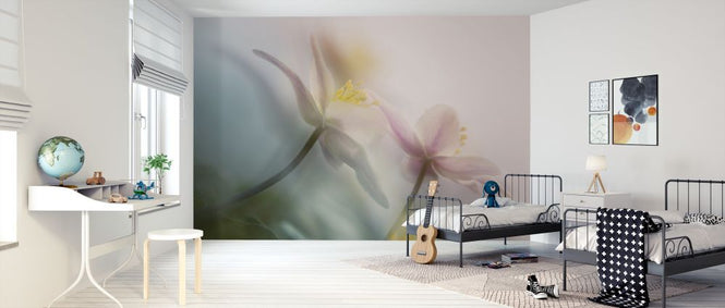 PHOTOWALL / Gentle (e312952)