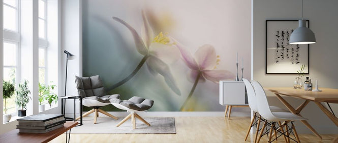 PHOTOWALL / Gentle (e312952)