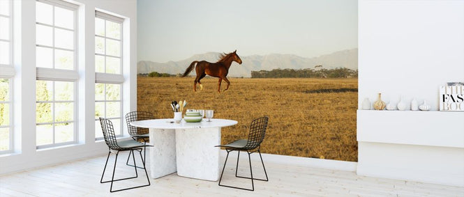 PHOTOWALL / Horse Running (e313011)