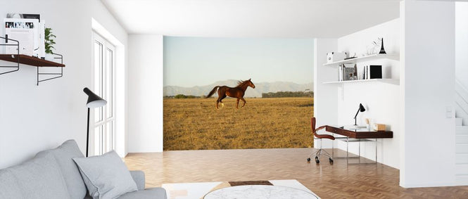 PHOTOWALL / Horse Running (e313011)