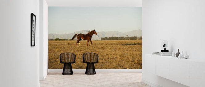 PHOTOWALL / Horse Running (e313011)