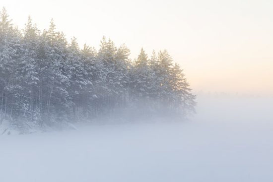 PHOTOWALL / Foggy Winter Landscape (e313021)