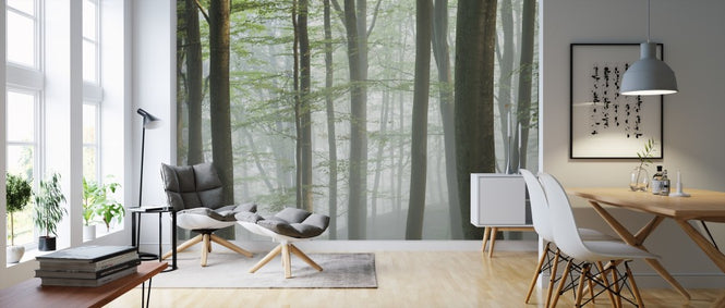 PHOTOWALL / Misty Beech Forest (e313025)