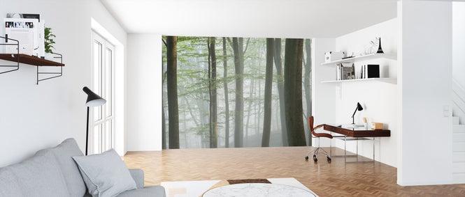 PHOTOWALL / Misty Beech Forest (e313025)