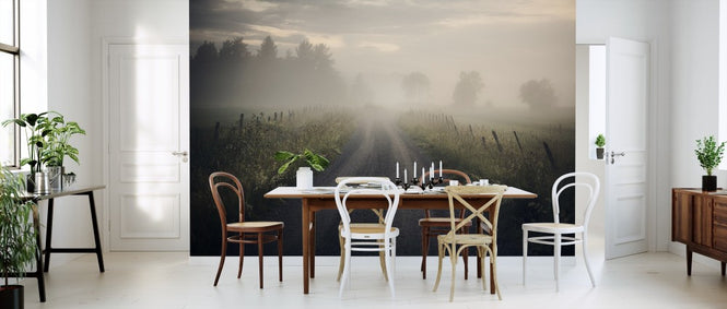 PHOTOWALL / Misty Rural Road (e313041)