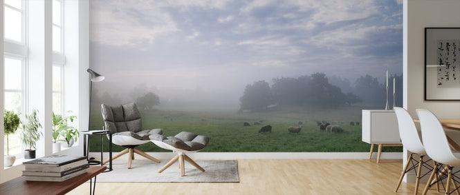 PHOTOWALL / Sheep on Pasture Field in Morning Fog (e313059)