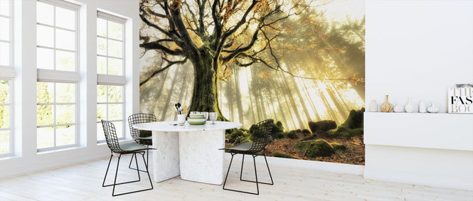 PHOTOWALL / November (e312969)