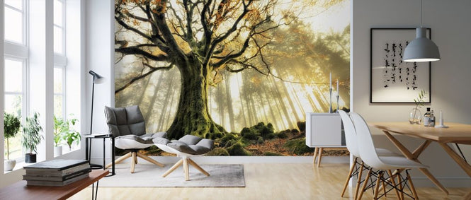 PHOTOWALL / November (e312969)