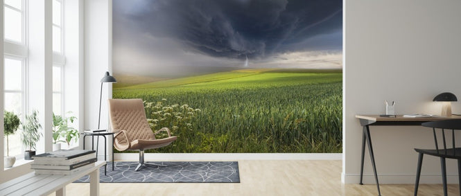 PHOTOWALL / June Storm (e312978)