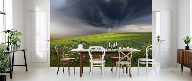 PHOTOWALL / June Storm (e312978)