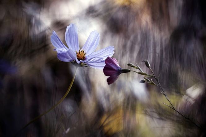 PHOTOWALL / Le Rendez Vous (e312990)